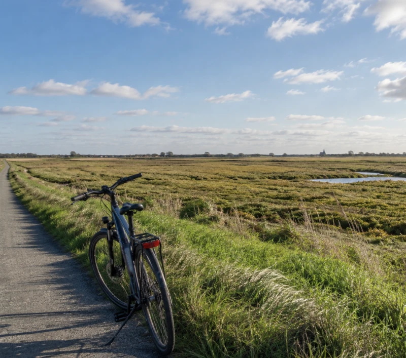 Channel Bike Hire